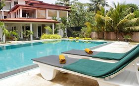 Agape Resorts